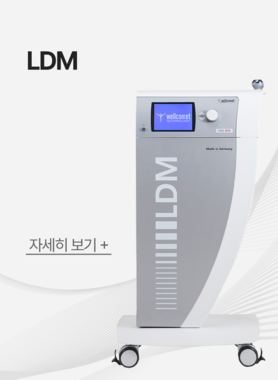 LDM